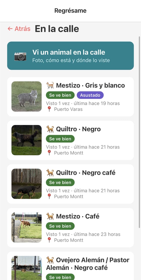 Lista de animales de la calle con su estado y dónde se vieron