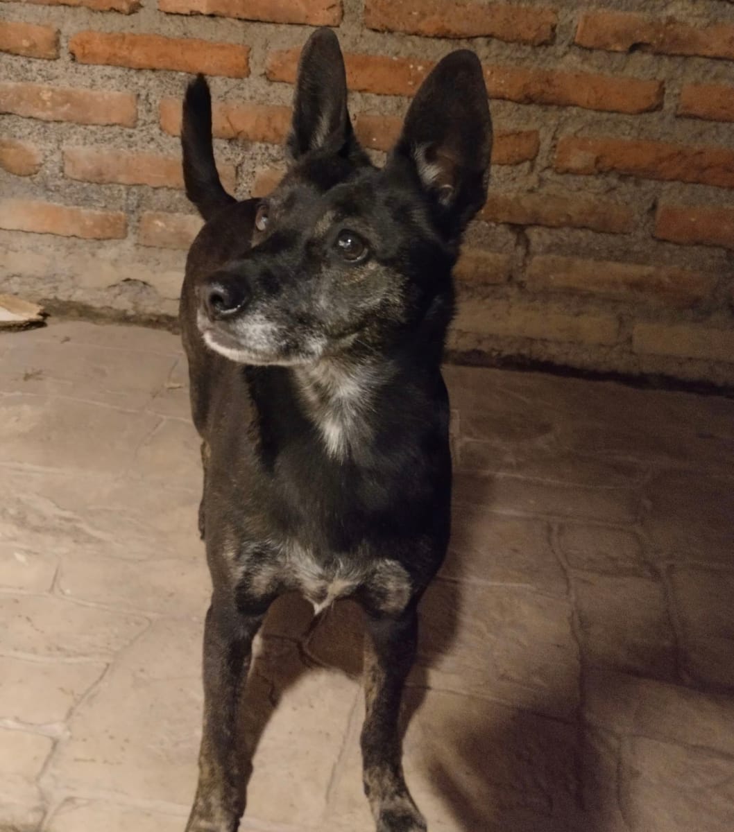 Abby